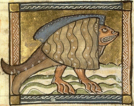 Amazing Medieval Turtle